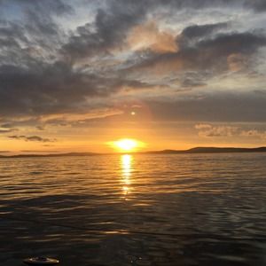 Meet your Posher, Steve